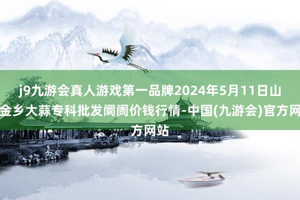 j9九游会真人游戏第一品牌2024年5月11日山东金乡大蒜专科批发阛阓价钱行情-中国(九游会)官方网站