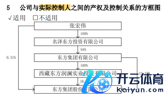 限制2023年年末，东方集团本色限度情面况，图源：2023年年报