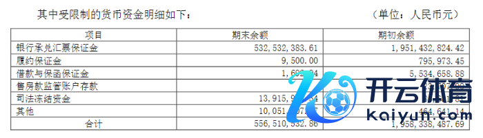 限制2023年末东方集团货币受限情况，图源：2023年年报