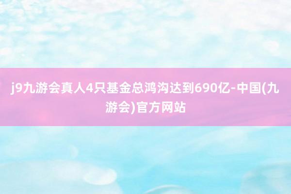 j9九游会真人4只基金总鸿沟达到690亿-中国(九游会)官方网站