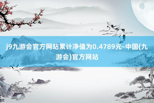 j9九游会官方网站累计净值为0.4789元-中国(九游会)官方网站